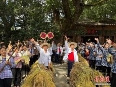 五谷丰登好“丰”景 秋分时节江西篁岭古村晒丰收